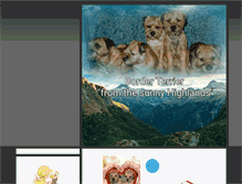 Tablet Screenshot of border-terrier-richard.com